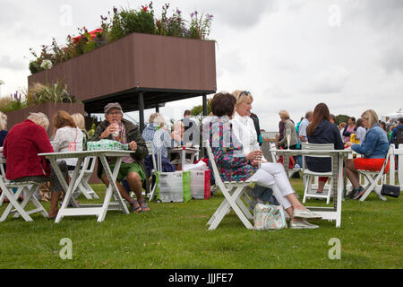 Knutsford, Cheshire. 20 juillet, 2017. Visiteurs et exposants à la RHS Flower Show tenu à Tatton Park. La "garden party du nord", a commencé en 1999 par la Royal Horticultural Society est en cours à Tatton Park aujourd'hui comme le RHS Flower Show ouvre son spectacle floral au grand public. /AlamyLiveNews MediaWorldImages ; crédit. Banque D'Images