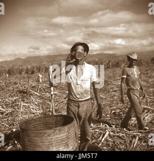 Ponce (aux environs), Puerto Rico. Travailleur de sucre en prenant un verre d'eau sur une plantation.Rosskam, Edwin, 1903- photographe.créé/PUBLIÉ1938 Janv. Banque D'Images