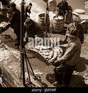 New York, New York. Fulton Fish Market et de la station d'arrimeurs poisson pesée tôt le matin.Parcs, Gordon, 1912- photographe.créé/PUBLIÉ1943 Mai-juin. Banque D'Images