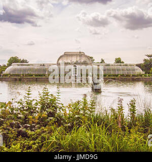 'Palm House' à Kew Gardens, Richmond, Londres Banque D'Images