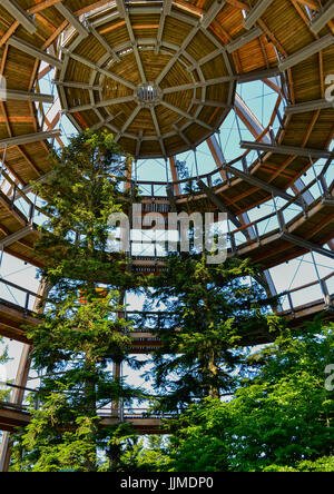 Le sentier Baumwipfelpfad Canopy en forêt de Bavière Banque D'Images
