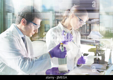 Chercheur scientifique la recherche en laboratoire. Banque D'Images