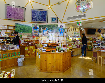 Akita, JAPON - 17 mars 2017. On visite un magasin de souvenirs à Akita, au Japon. Akita est une grande préfecture au côte de la mer du Japon dans la région de Tohoku. Banque D'Images