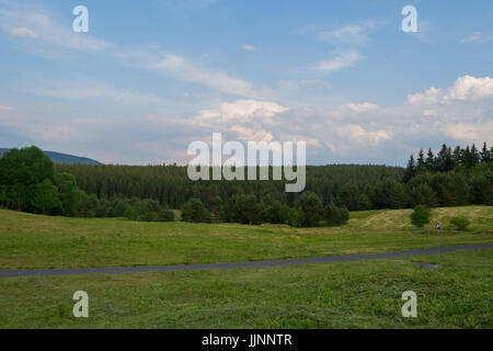 Vue paysage dans le Parc National de Sumava Banque D'Images