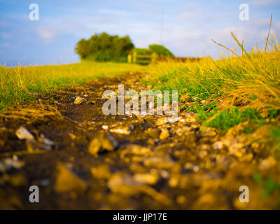 Chemin qui Mène à la Devil's Dyke pub sur un beau soir au Sussex Banque D'Images