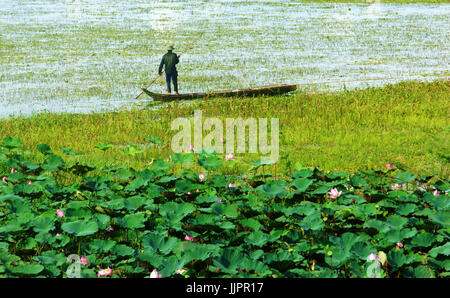 Paysage du Vietnam pour un voyage au Delta du Mékong, l'homme debout sur la barque se déplacer sur rivière, fleur de lotus en fleur rose, voir de vue magnifique et paisible Banque D'Images