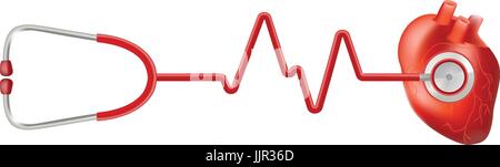 Coeur de l'homme et du rythme cardiaque EKG sur avec stéthoscope isolé sur un fond blanc. Vector Illustration réaliste. Illustration de Vecteur