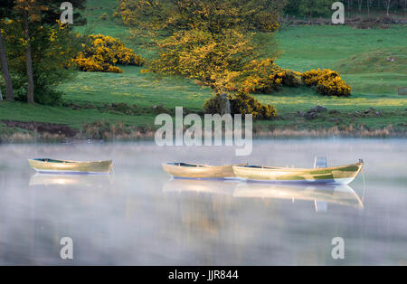 L'aviron/trois bateaux de pêche sur une misy matin à Knapp's Loch, Kilmacolm, en Écosse. Banque D'Images
