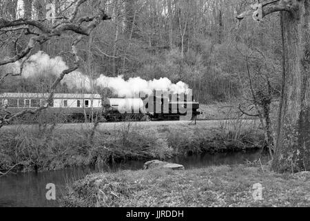 Train à vapeur à côté de la rivière Dart sur le South Devon Railway, tiré par GWR pannier aucun réservoir de 6412. Banque D'Images