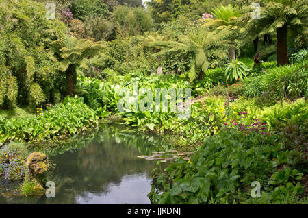 Trebah gardens Banque D'Images