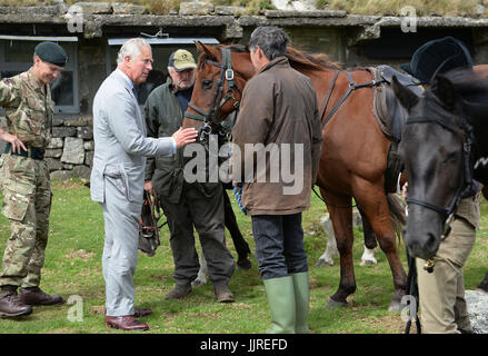 Le Prince de Galles répond à l'ensemble des chevaux de compensation au cours d'une visite au camp d'Okehampton, situé sur le ministère de la Défense zone Formation Dartmoor pour entendre comment le Duché de Cornouailles travaille avec le MOD, la communauté locale et d'autres intervenants sur une variété de projets de conservation à Dartmoor, le deuxième jour de la visite royale au Devon et Cornwall. Banque D'Images