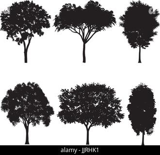 Vector illustration de silhouettes d'arbres Illustration de Vecteur