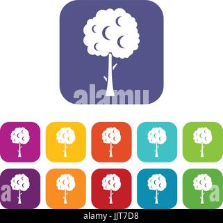 Arbre généalogique avec couronne sphérique icons set Illustration de Vecteur