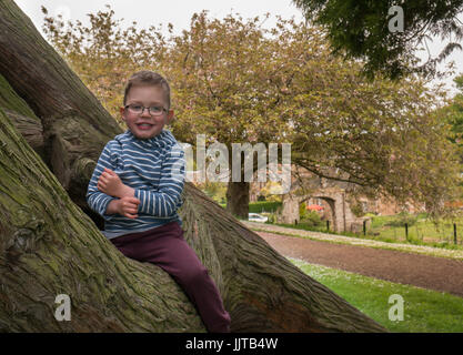 Jeune enfant souriant et assis sur un vieil arbre, Dirleton Castle, East Lothian, Scotland, UK Banque D'Images