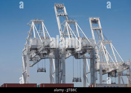 Grues (grues), au terminal à conteneurs de Long Beach, Californie, USA. Banque D'Images