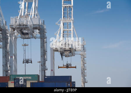 Grues (grues), au terminal à conteneurs de Long Beach, Californie, États-Unis Banque D'Images