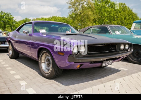 DEN BOSCH, aux Pays-Bas - 10 MAI 2015 : 1970 Dodge Challenger voiture classique. Banque D'Images