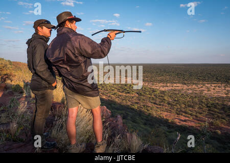 Les léopards de suivi avec un récepteur sans fil à onkonjima, Namibie Banque D'Images