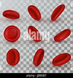 Les cellules rouges du sang vecteur Illustration de Vecteur