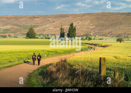 Les pèlerins à pied dans le paysage 'meseta', une longue section de plateau. Chemin de Compostelle. L'Espagne, l'Europe. Banque D'Images