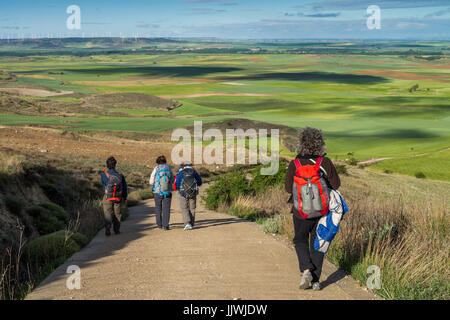 Les pèlerins à pied dans le paysage 'meseta', une longue section de plateau. Chemin de Compostelle. L'Espagne, l'Europe. Banque D'Images