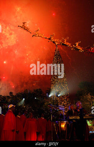 Feux d'artifice, derrière l'arbre de Noël annuel arbre de vacances éclairage extravagance concert Grove Los Angeles. Banque D'Images