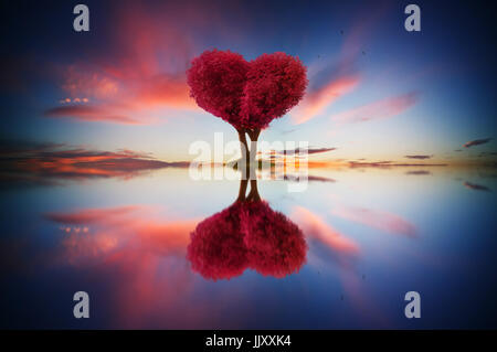 Résumé image de couleur rouge solitaire et l'amour des feuilles d'arbre de forme au lever de scène avec la réflexion dans l'eau. Banque D'Images