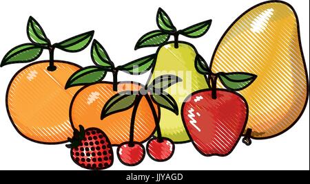 Crayon de couleur des fruits tropicaux colorés silhouette Illustration de Vecteur