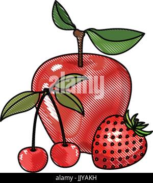 Crayon de couleur d'ossature de fruits fraise et cerises apple Illustration de Vecteur