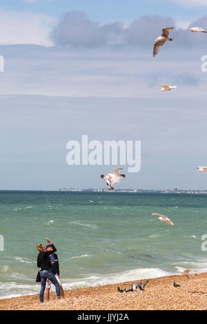 Brighton, UK. 21 juillet, 2017. L'alimentation quelques mouettes sur la plage de Brighton. Crédit : Rob Carter/Alamy Live News Banque D'Images