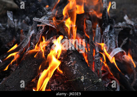Bois de feu dans la cheminée close up Banque D'Images