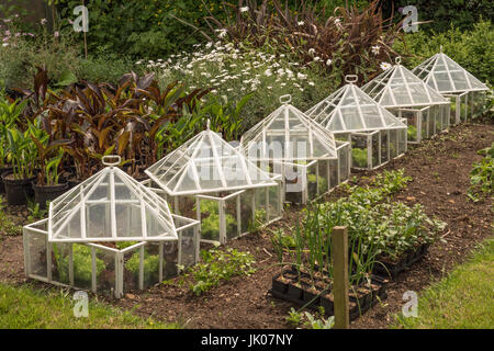 Vieux Jardin cloches de verre élégant Banque D'Images