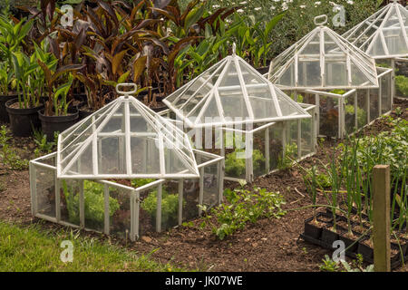 Vieux Jardin cloches de verre élégant Banque D'Images