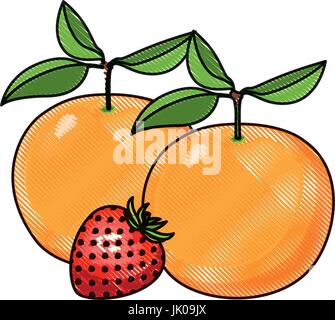 Fond blanc de crayon de couleur orange fruits de silhouette et fraise Illustration de Vecteur