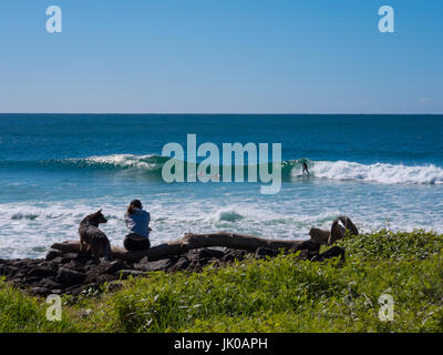 Femme et de chien et de détente assis sur une grosse branche Journal par la mer regardant un surfeur Banque D'Images