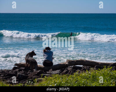 Femme et de chien et de détente assis sur une grosse branche Journal par la mer regardant un surfeur Banque D'Images