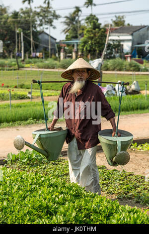 Vieil homme vietnamien dans son 90 l'arrosage des cultures avec des arrosoirs Banque D'Images