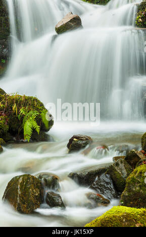 Rigole. Cabuerniga Valley. Cantabria, Espagne. Banque D'Images