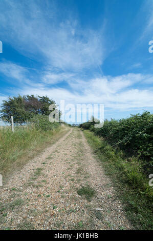 Étroit lane avec haies de chaque côté. Sentier, piste cyclable, Banque D'Images