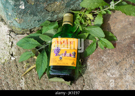 Bouteille de vin tonique Buckfast sur rue de Glasgow, Écosse, Royaume-Uni Banque D'Images