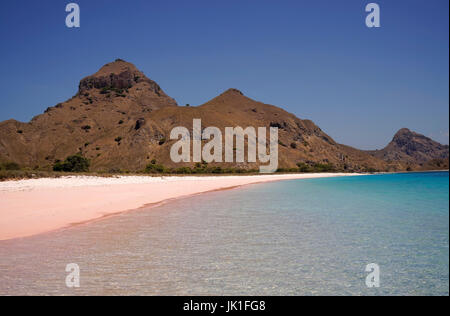 Plage de sable rose tropical à Flores causés par des pièces de couleur rose rouge corail dans l'océan pendant la journée. Banque D'Images