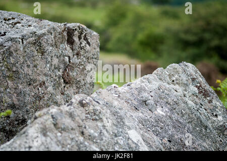 Roche de granit à Dartmoor montrant les marques laissées par le bas et tare Banque D'Images