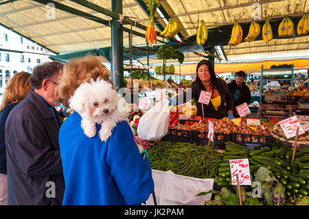 Femme avec chien dans Marché du Rialto, Venise Italie Banque D'Images