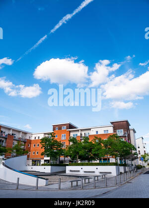 Le développement du logement, de l'île de Kennet Kennet Island, Reading, Berkshire, Angleterre Banque D'Images