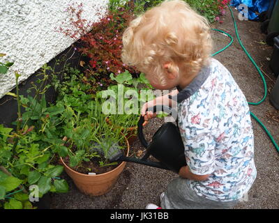 Petit garçon de deux ans, d'arroser ses plantes en pots nouveau patio ; preuve de responsabilité et de soins. L'un d'une série prise au printemps et en été. Banque D'Images