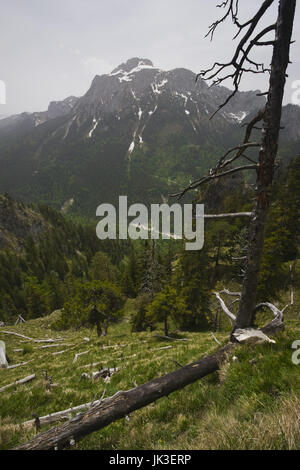 Germany, Bavaria, Deutsche Alpenstraße, Schwangau, Trail sur la montagne Tegelberg, Banque D'Images