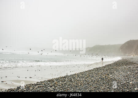 Caucasian man running on lointain océan plage près de birds Banque D'Images