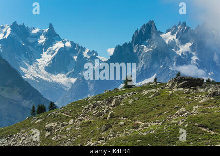 Champ de blocs et les prés herbeux, dans les Alpes françaises au-dessus de Chamonix. Sentier de randonnée traverse la colline de premier plan. Banque D'Images