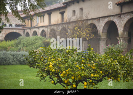 États-unis, Californie, San Juan Capistrano, Mission San Juan Capistrano, cour centrale Banque D'Images