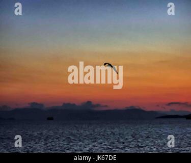 Le Pirée, Grèce. Sep 30, 2004. Une mouette, en silhouette, vole au-dessus de la mer Méditerranée à l'aube près du port du Pirée, Grèce. Credit : Arnold Drapkin/ZUMA/Alamy Fil Live News Banque D'Images